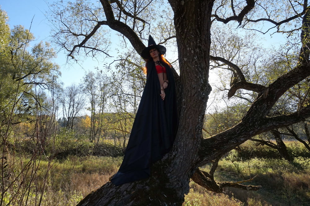 Witch on the Tree #106932816