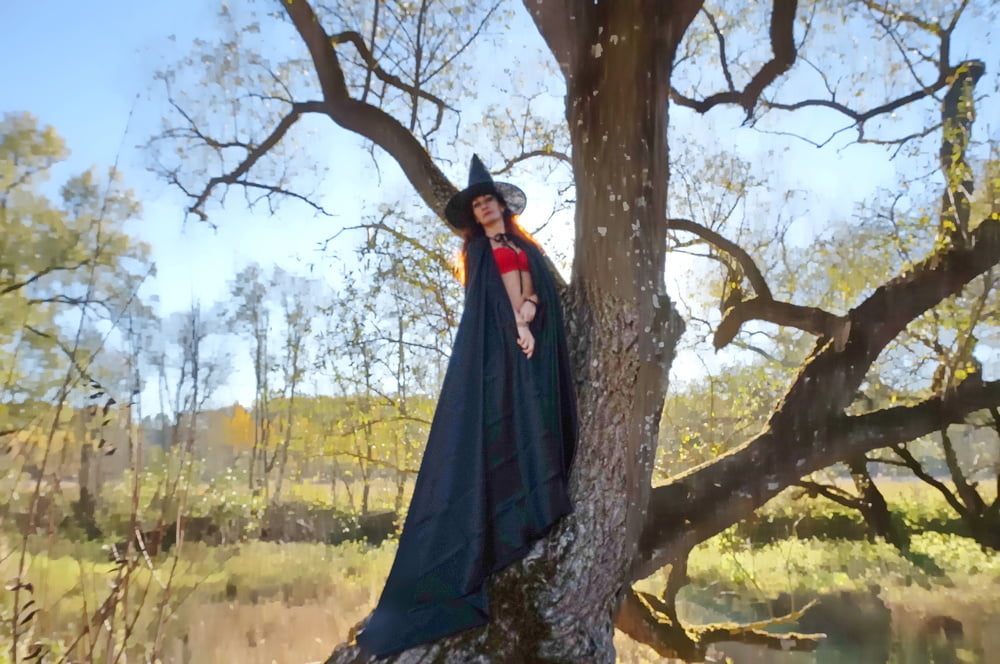 Witch on the Tree #106932817