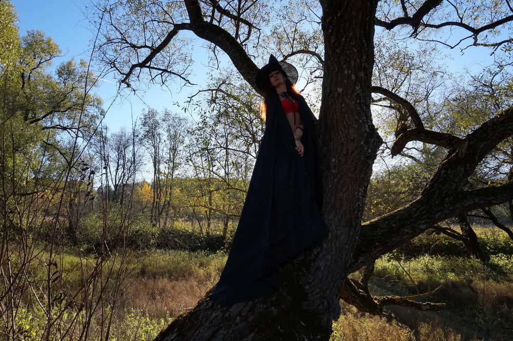 Witch on the Tree #106932818
