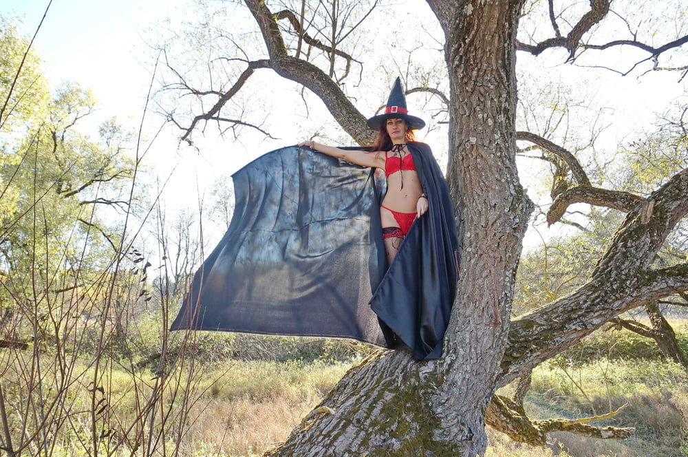 Witch on the Tree #106932820