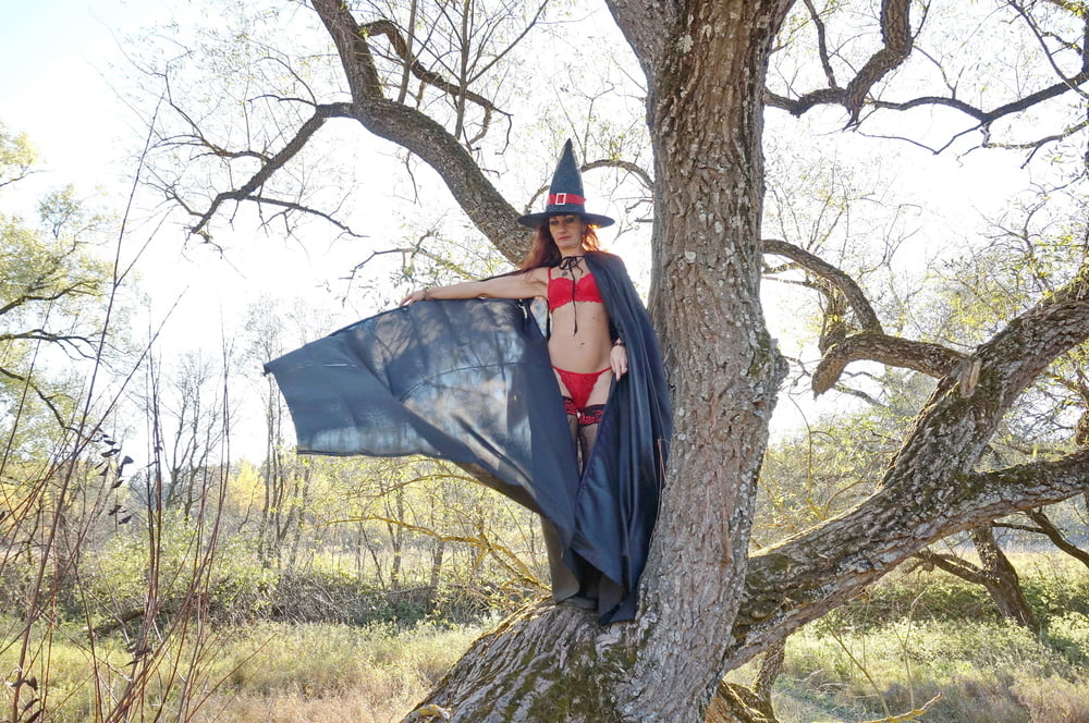 Witch on the Tree #106932822