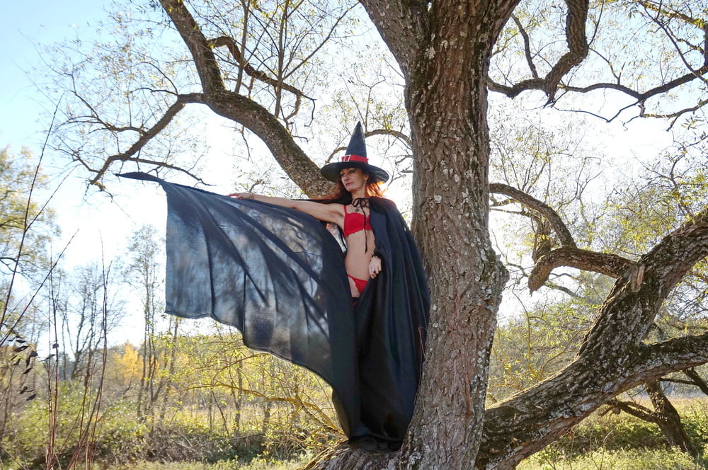 Witch on the Tree #106932827