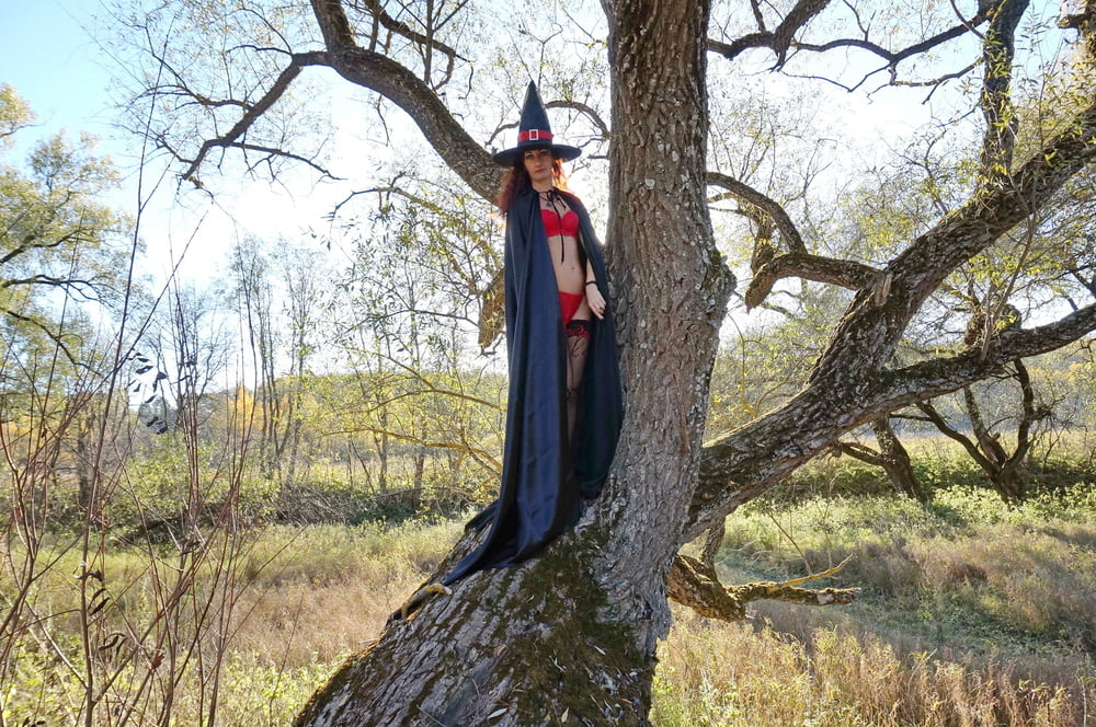 Witch on the Tree #106932839