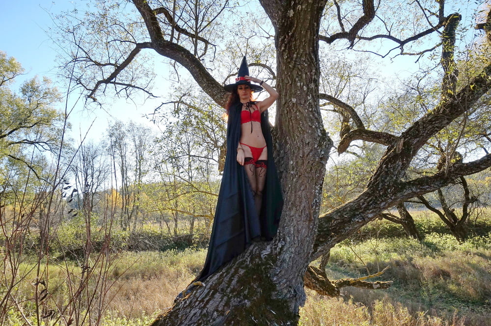 Witch on the Tree #106932842