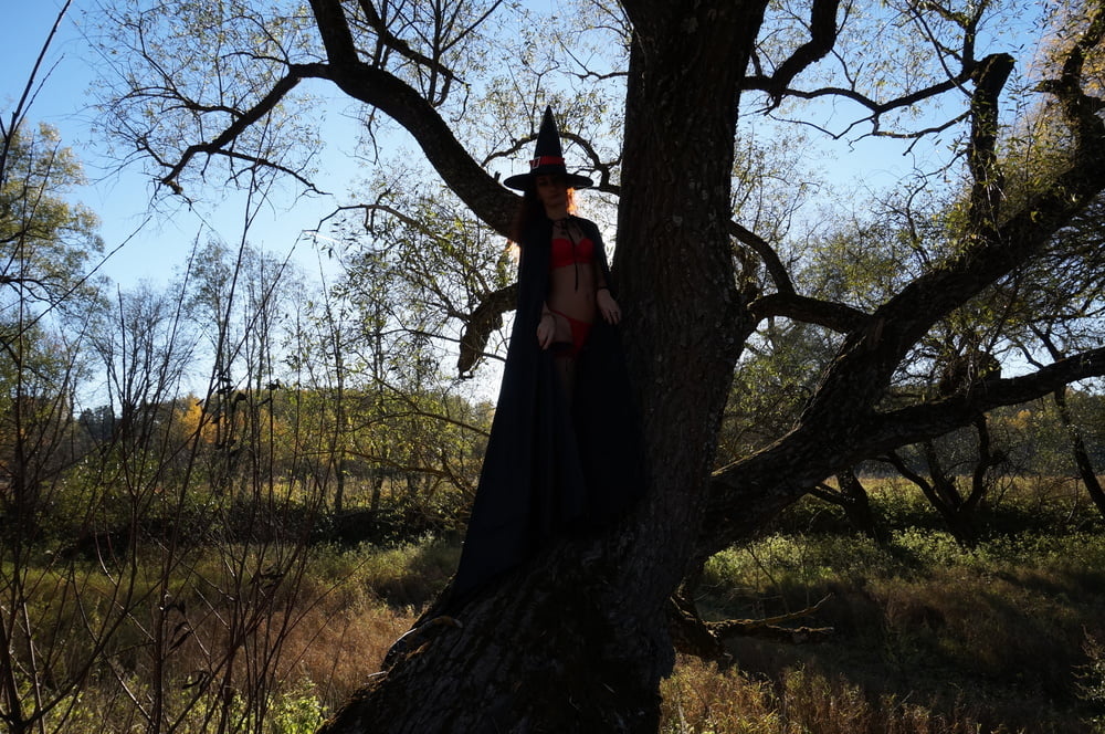 Witch on the Tree #106932845