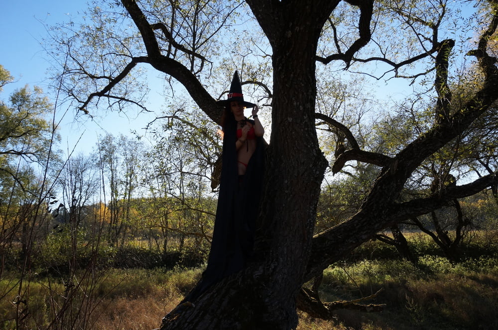 Witch on the Tree #106932849
