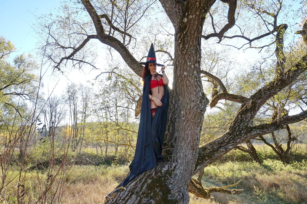 Witch on the Tree #106932853