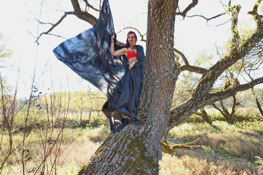 Witch on the Tree #106932856