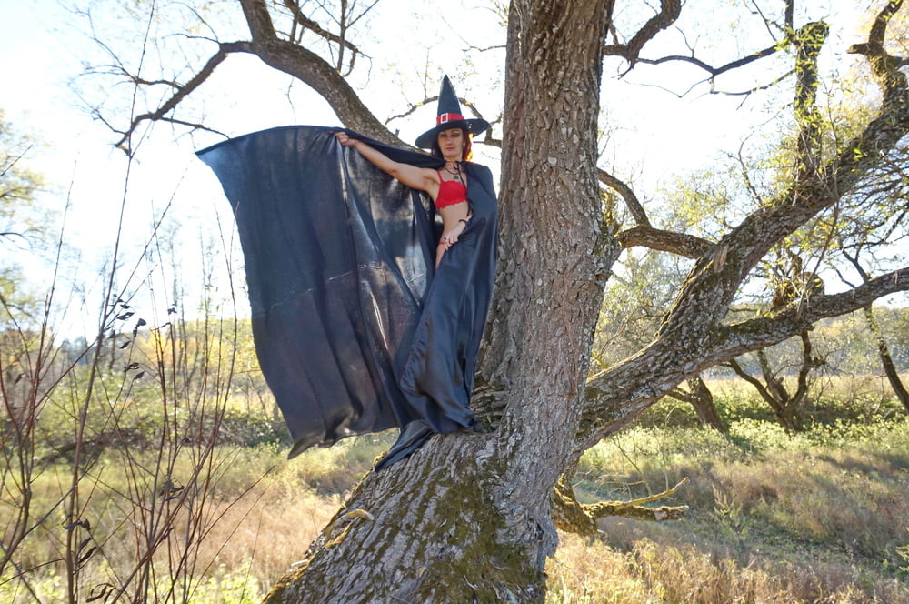 Witch on the Tree #106932859