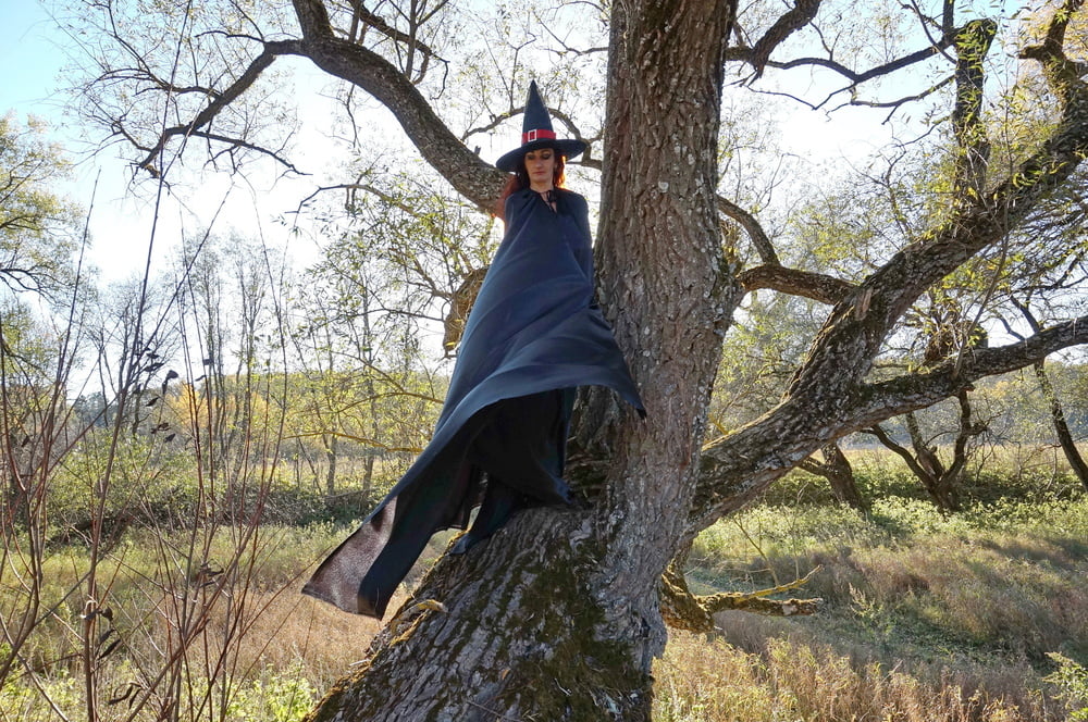 Witch on the Tree #106932862