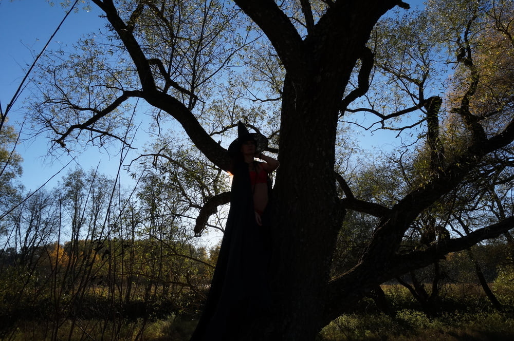 Witch on the Tree #106932865