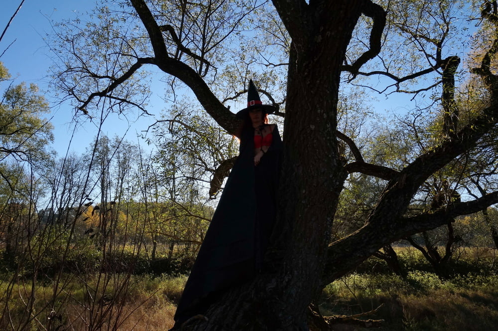 Witch on the Tree #106932868