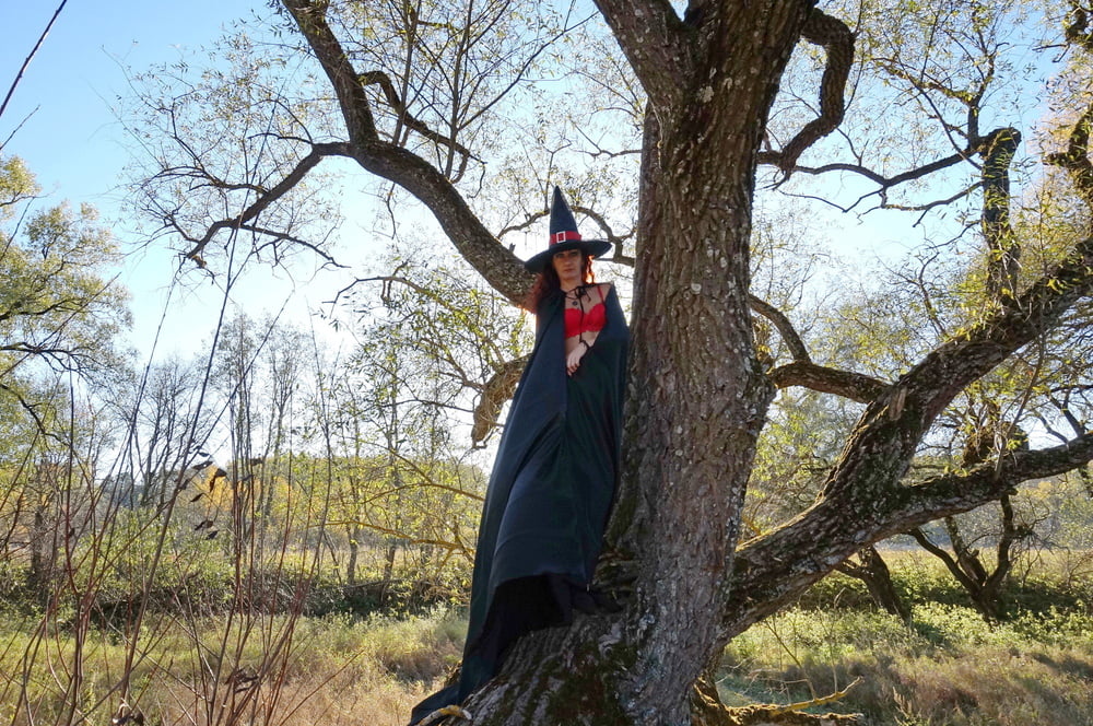 Witch on the Tree #106932871