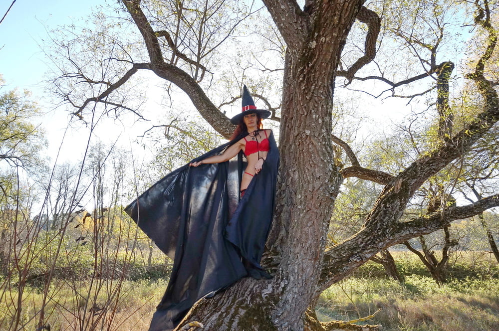 Witch on the Tree #106932873