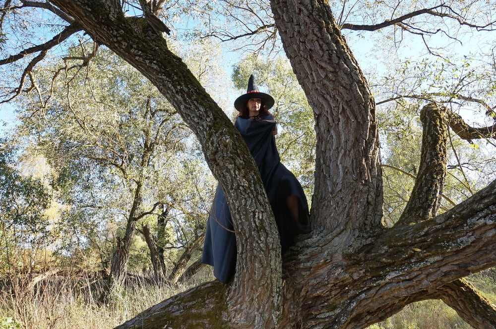 Witch on the Tree #106932883
