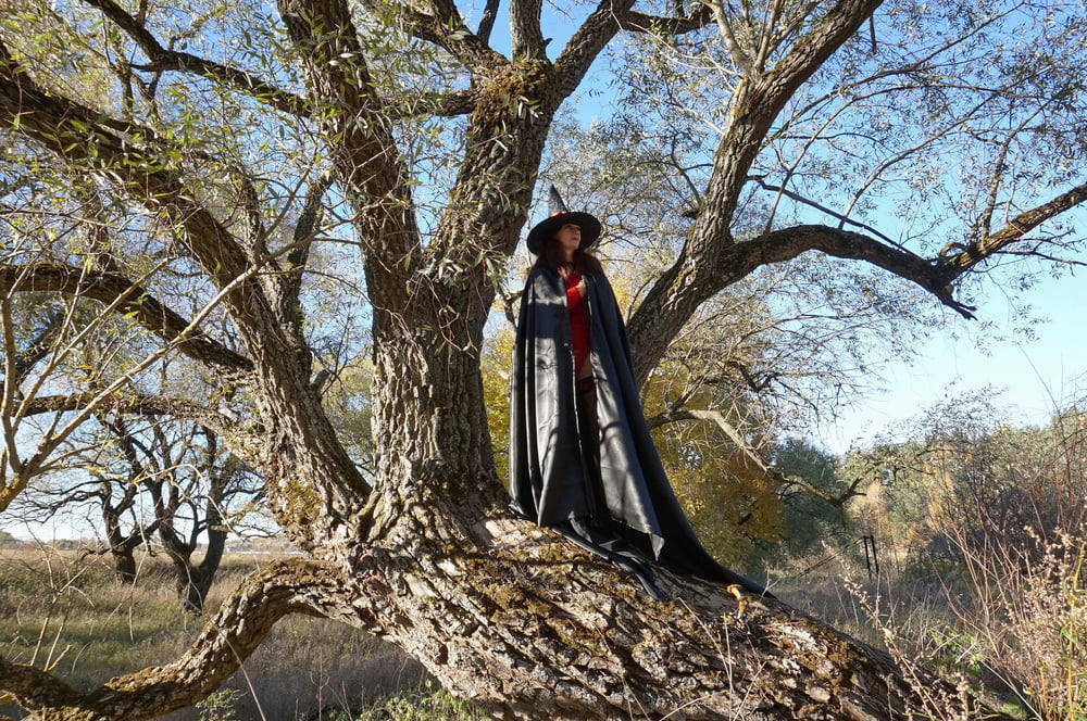 Witch on the Tree #106932887