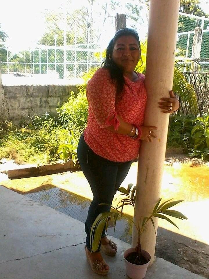 Tabasco mati #93431378