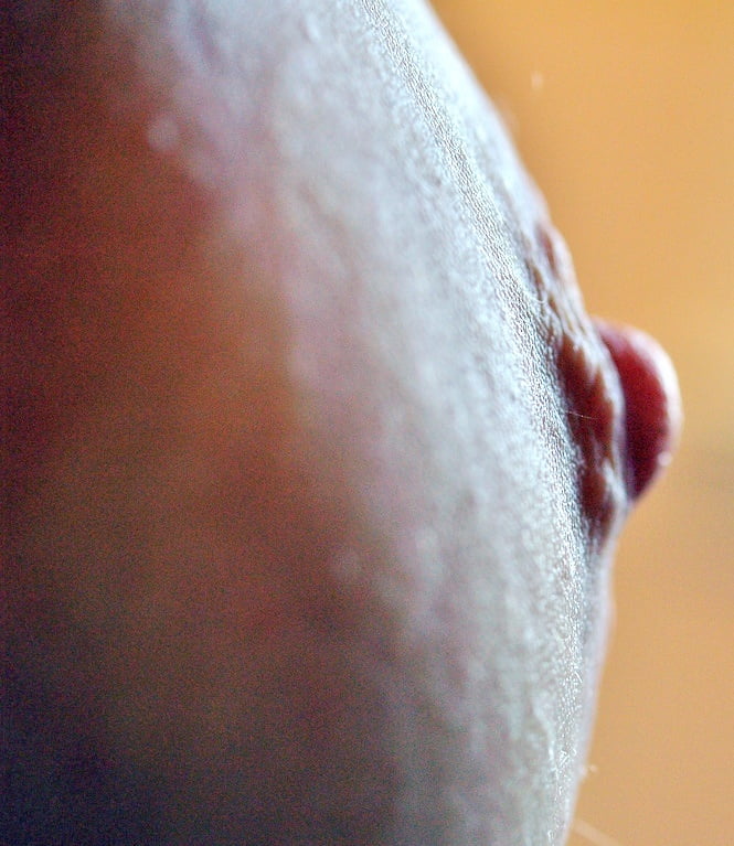 Thickasabricks Internet Find 241 #93394619