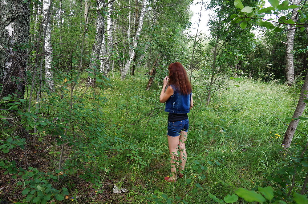 In birch Forest #107250295