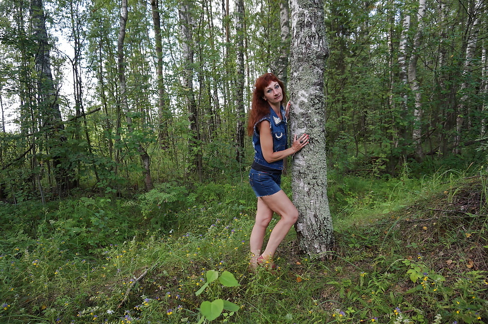 In birch Forest #107250311