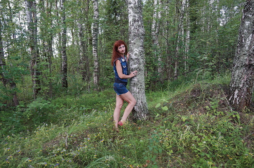 In birch Forest #107250313