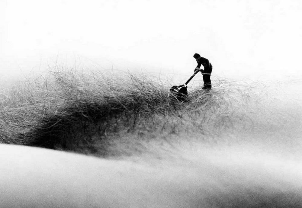 And now something completely differend 2 #93262606