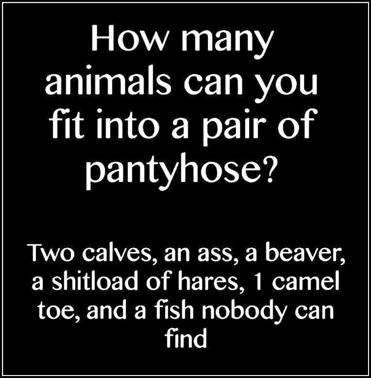 Humorous Erotica - Text Only #90057576