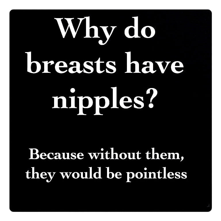 Humorous Erotica - Text Only #90057914