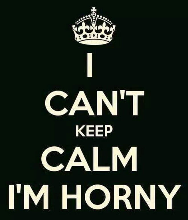 Humorous Erotica - Text Only #90058137