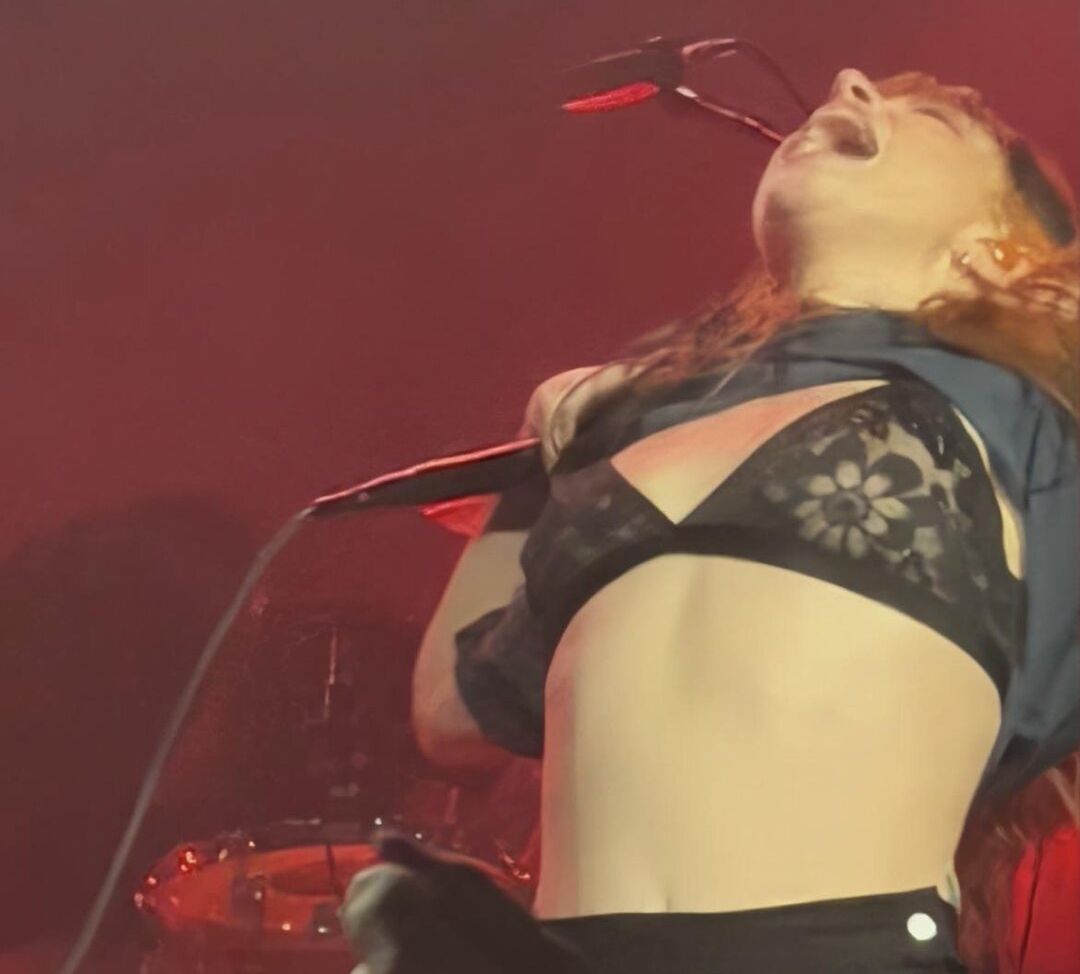Hayley Williams nude #109039379