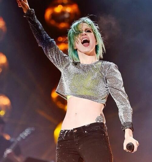 Hayley Williams nude #109039433