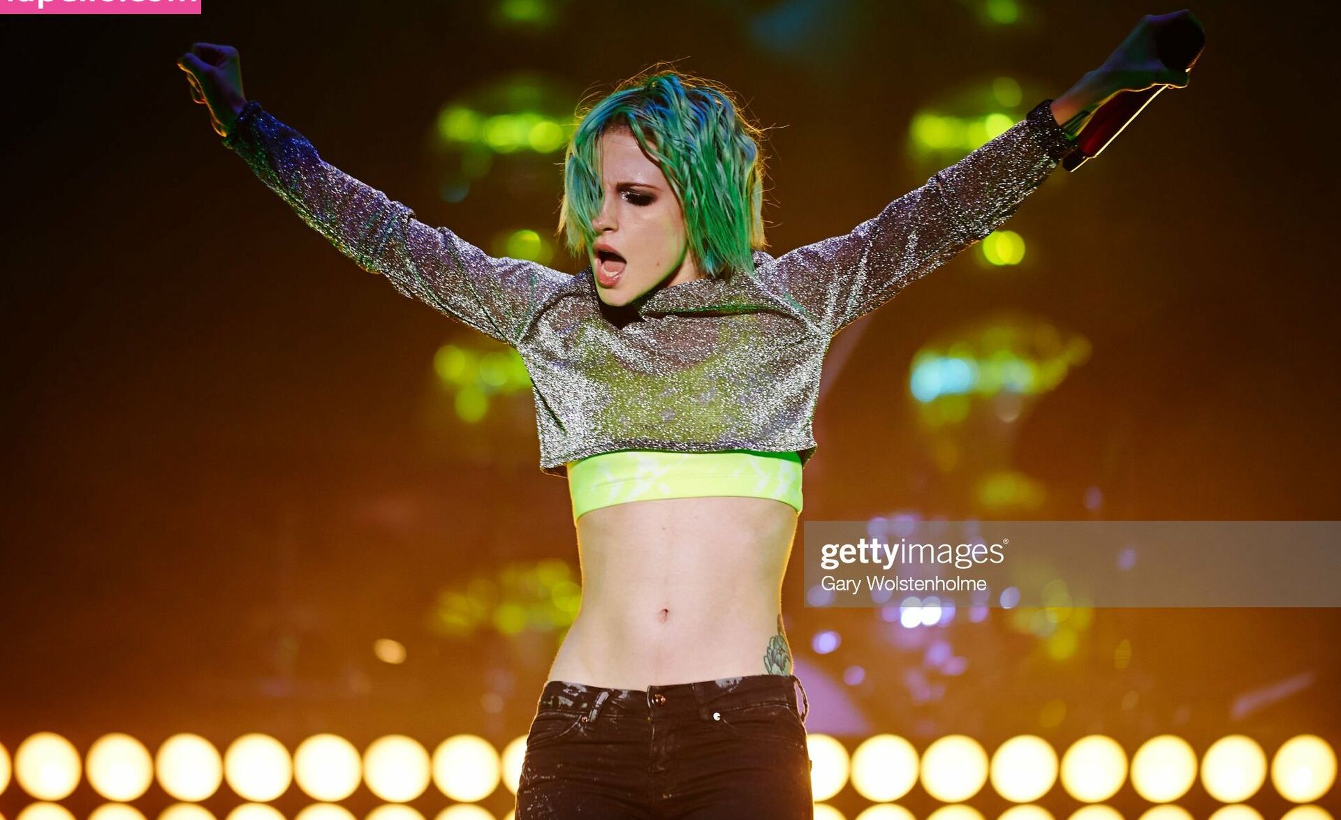 Hayley Williams nude #109039446
