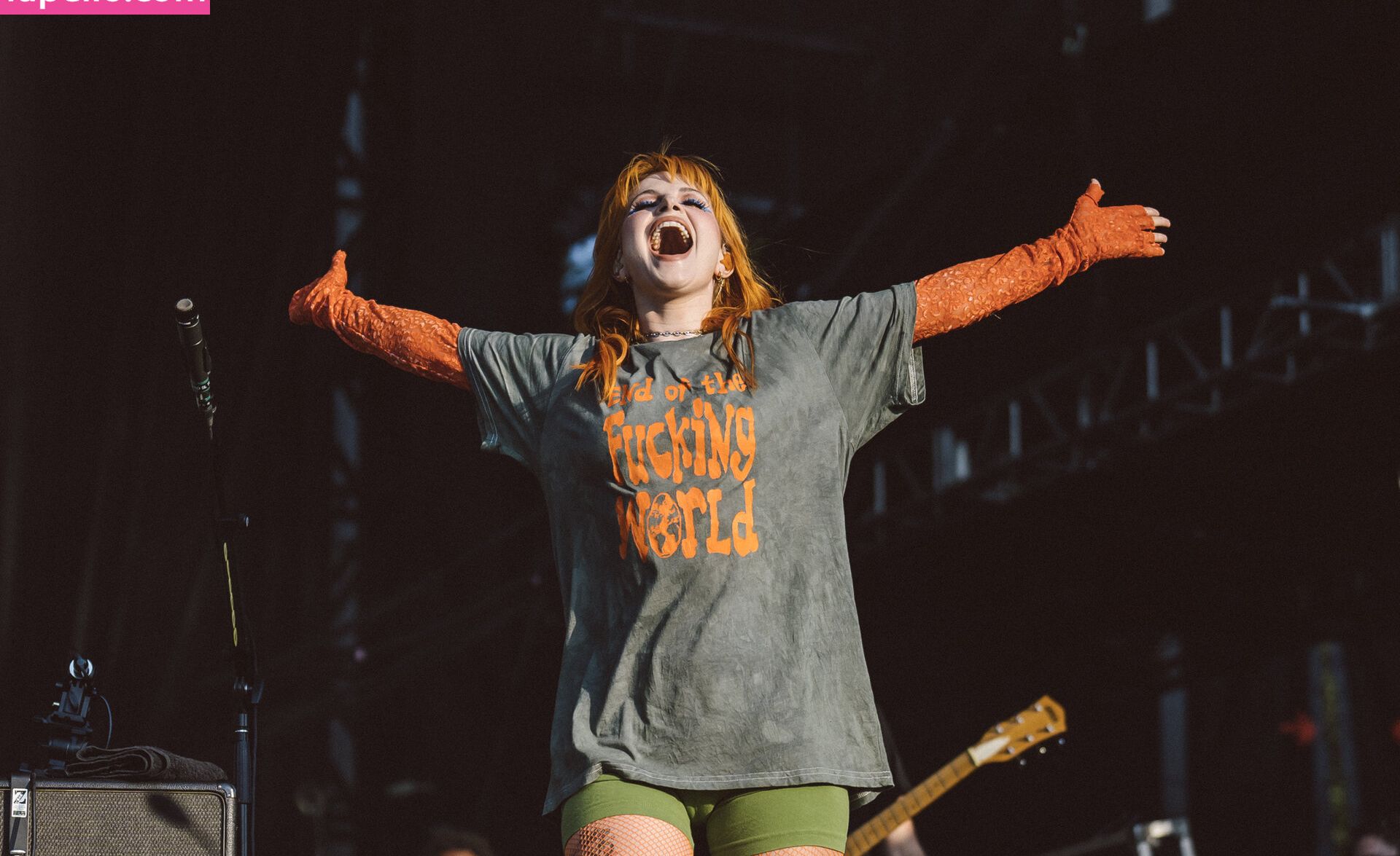 Hayley Williams nude #109039470
