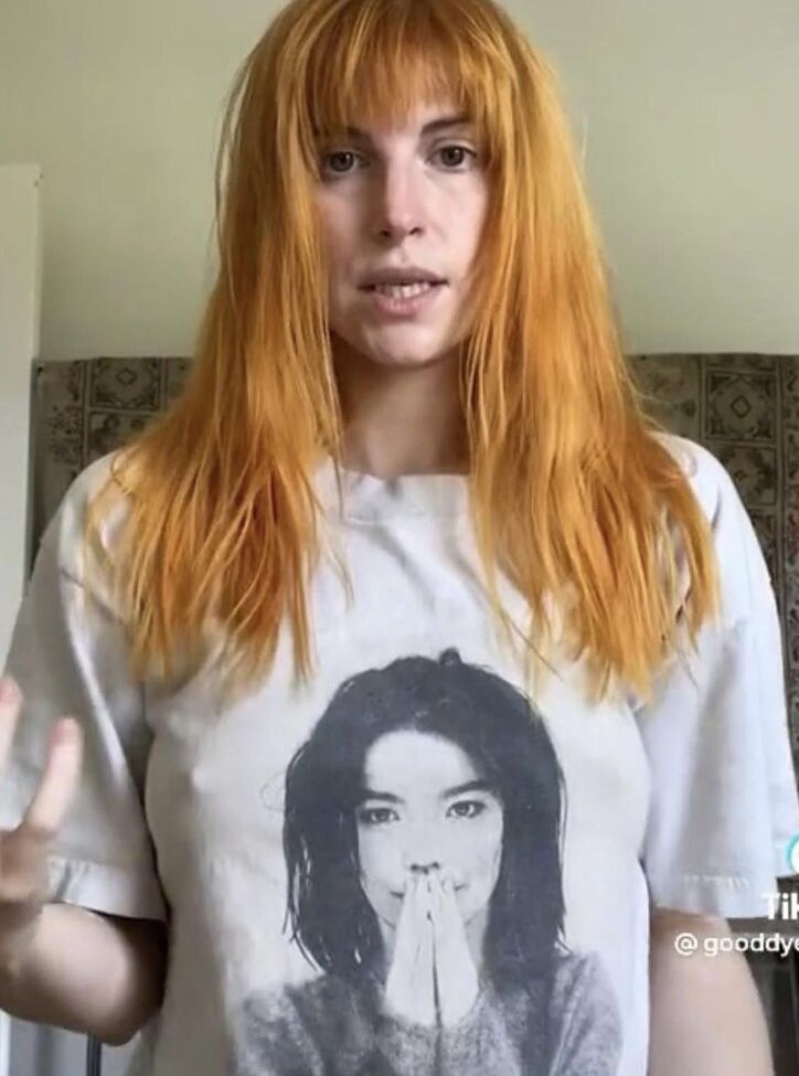 Hayley Williams nude #109039486