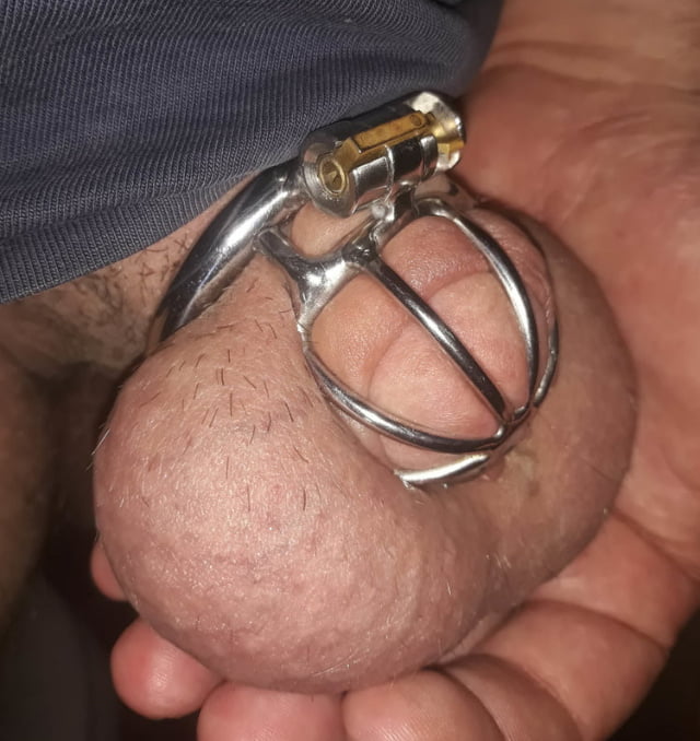 Male chastity and CP including my own. #104592482