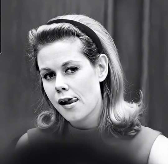 Elizabeth montgomery
 #82302647