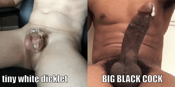 Big White Dick Vs Huge Black Cock - BIG BLACK COCKS VS Little White Cock #1 - NyLoNCuCky2020 Sex Gifs, Porn  GIF, XXX GIFs #3876504 - PICTOA