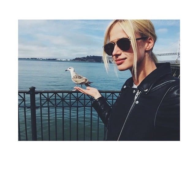 Ella Petrushko #106191124