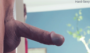 shocked to see the cock gifs #98871227