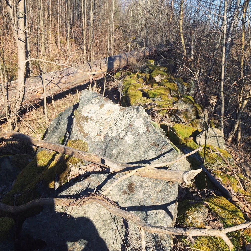 Rubia amateur 98
 #100502883