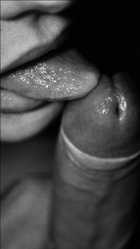 Black &amp; White #102365086