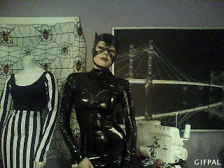 Catwoman y los catsuits
 #100489354