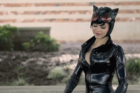 Catwoman et ses combinaisons
 #100489480