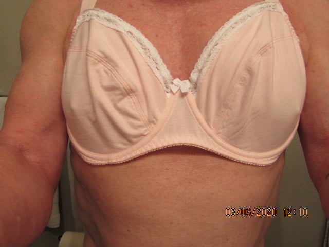 20-07 new bras plus #103639033