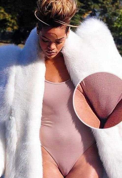 camel waps #91628101