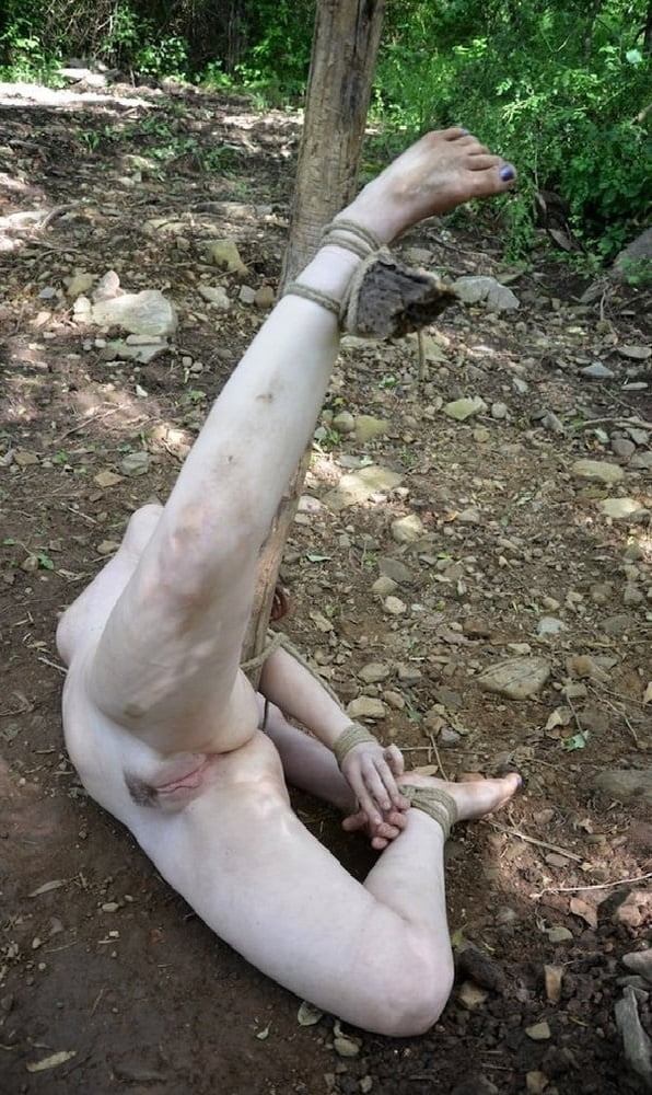 Carne de desecho
 #93730077