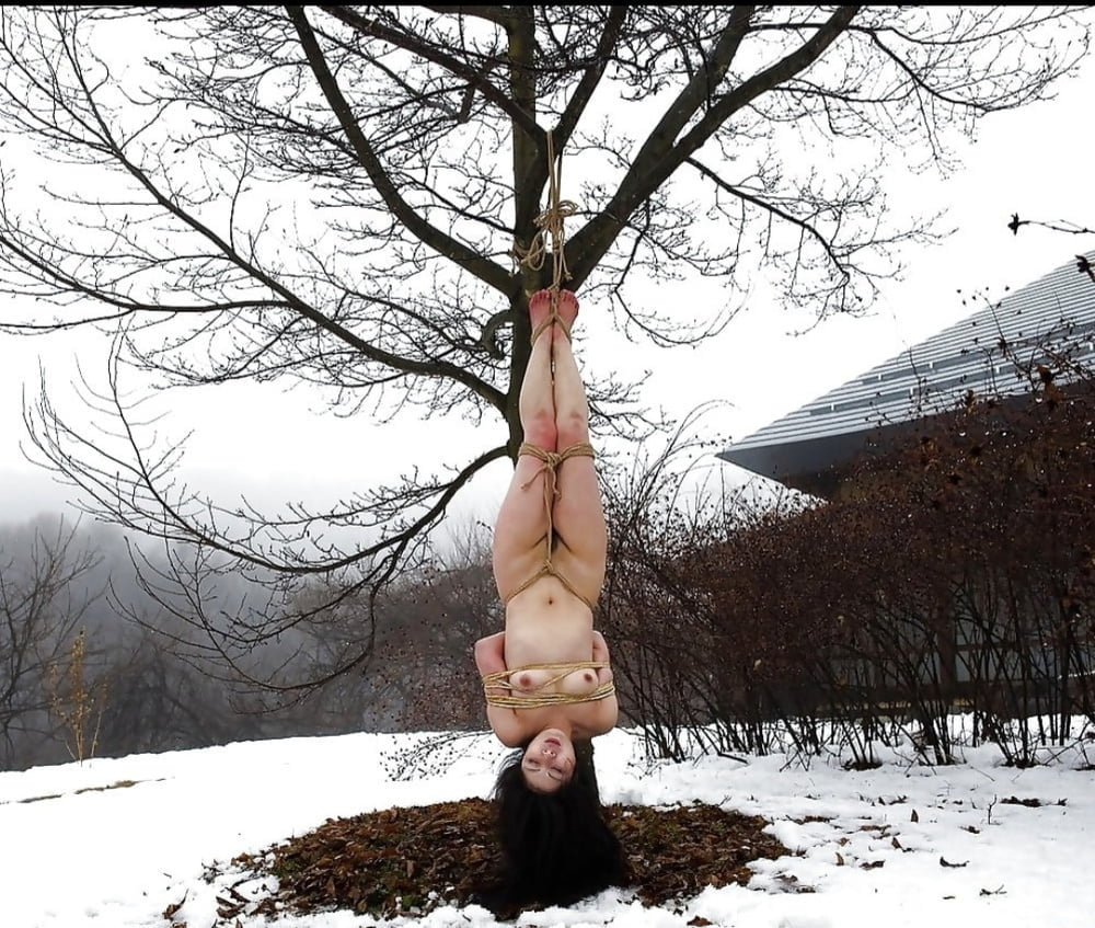 Carne de desecho
 #93730111