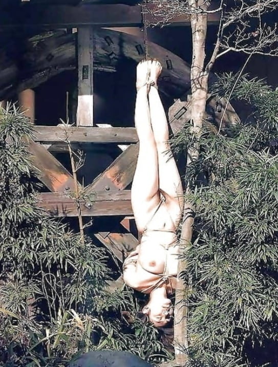 Carne de desecho
 #93730117