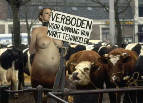 Carne de desecho
 #93730381