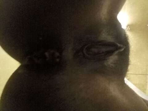 Png 2k20  milfs exposed #94823562